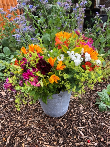 Sarratt Community Garden